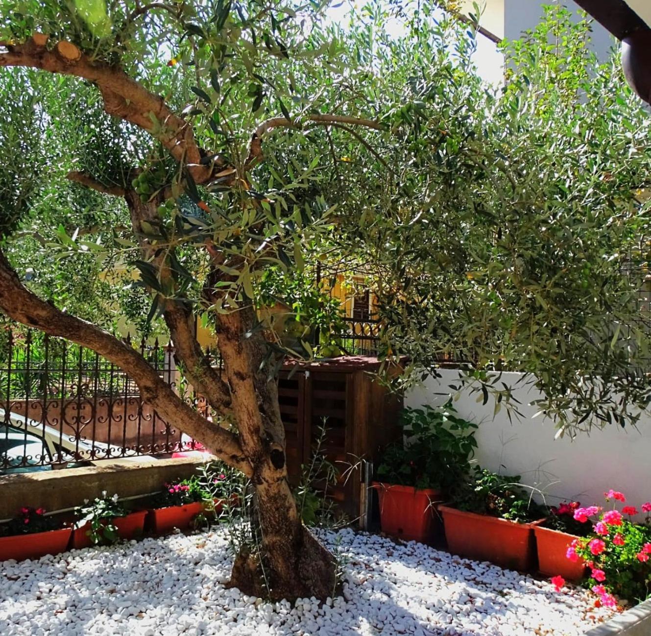 Le Sorgenti Guest House Ilbono 外观 照片